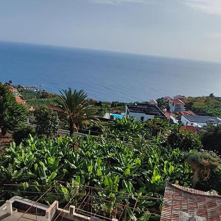 Sunny Rooftop & Perfect View Apartment Arco da Calheta  Bagian luar foto