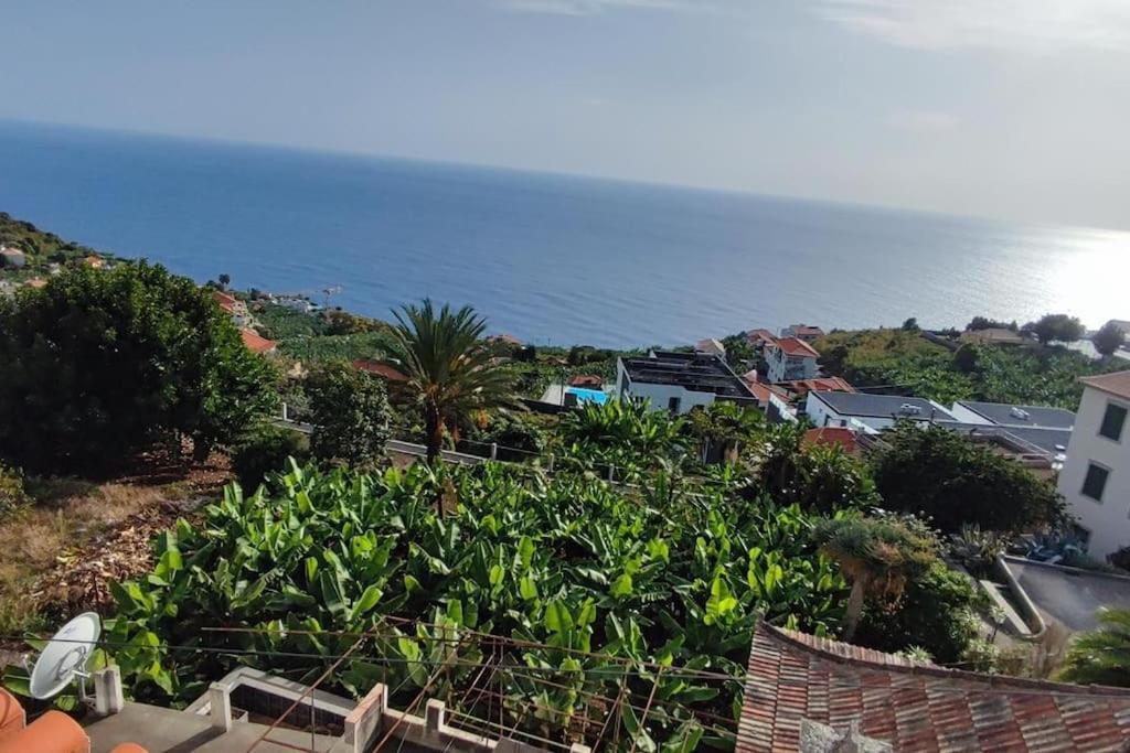 Sunny Rooftop & Perfect View Apartment Arco da Calheta  Bagian luar foto